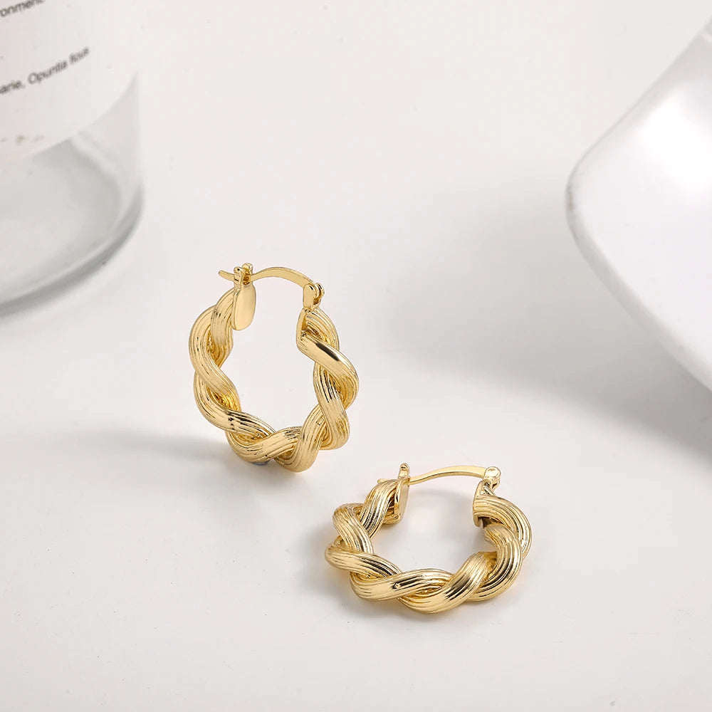 Bold & Chic: Geometric Twisted Thick Hoop Earrings – Ellyce Jewel